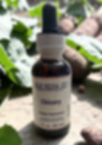 Chicory herbal extract bottle front label
