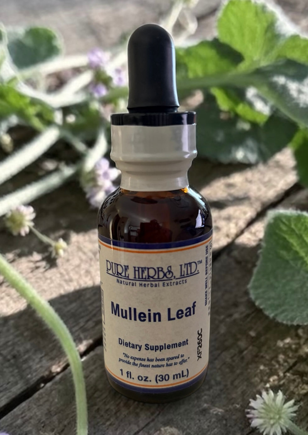 Mullein leaf herbal extract bottle front view