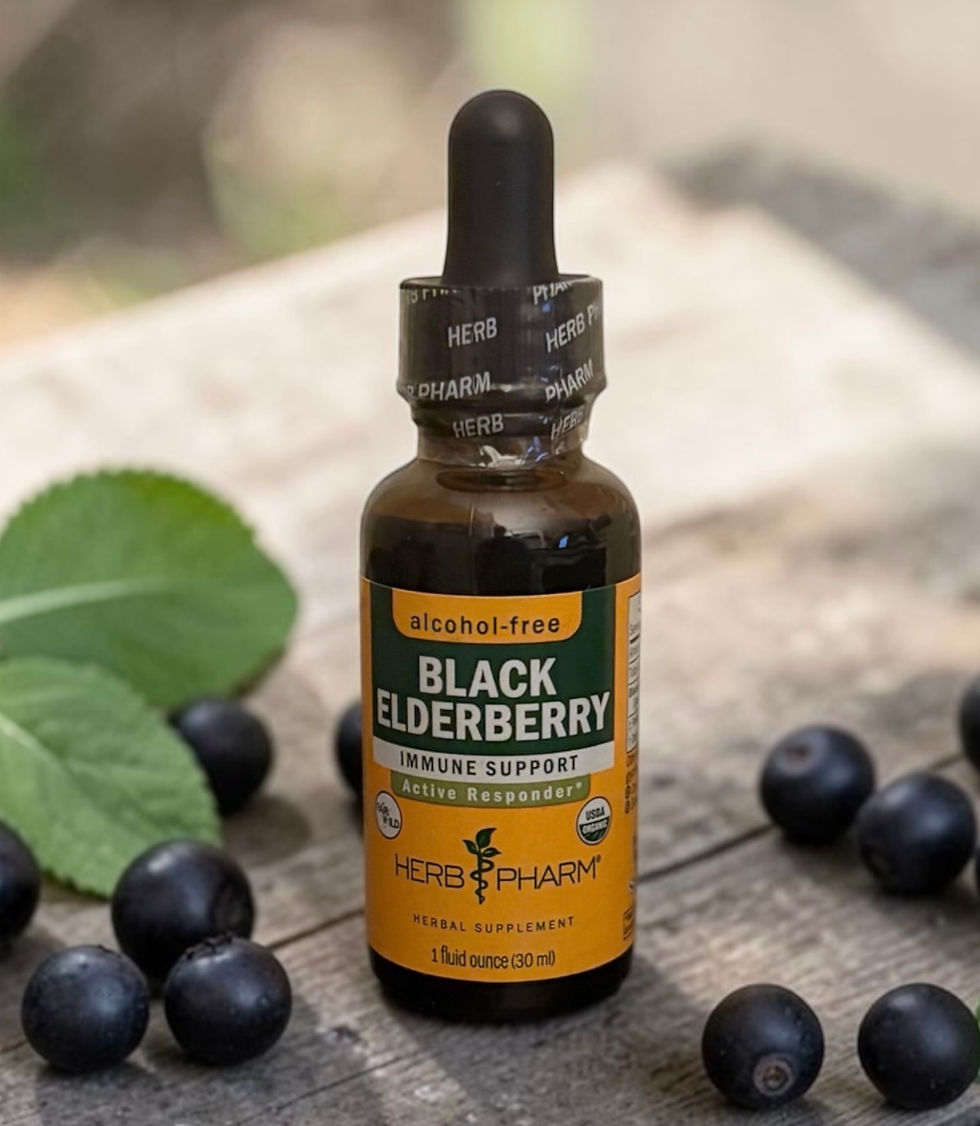 Black Elderberry Glycerite front label