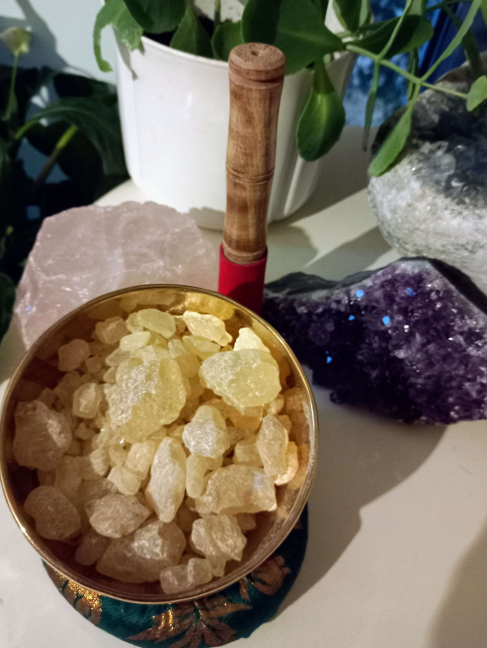 Résine de Dammar 30 gr (ori Indonésie)