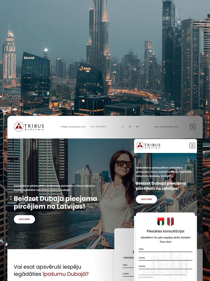 Wordpress mājas lapas izstrāde