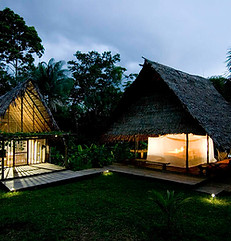 Amazonas 03.jpg