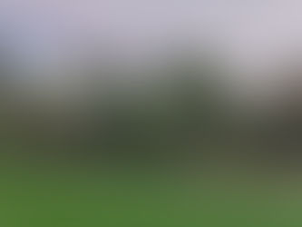 Durabilidade em áreas esportivas: como o eucalipto tratado se comporta ao longo dos anos