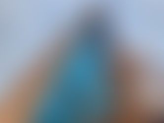 Casas de Eucalipto Tratado: Tendência na Arquitetura Sustentável