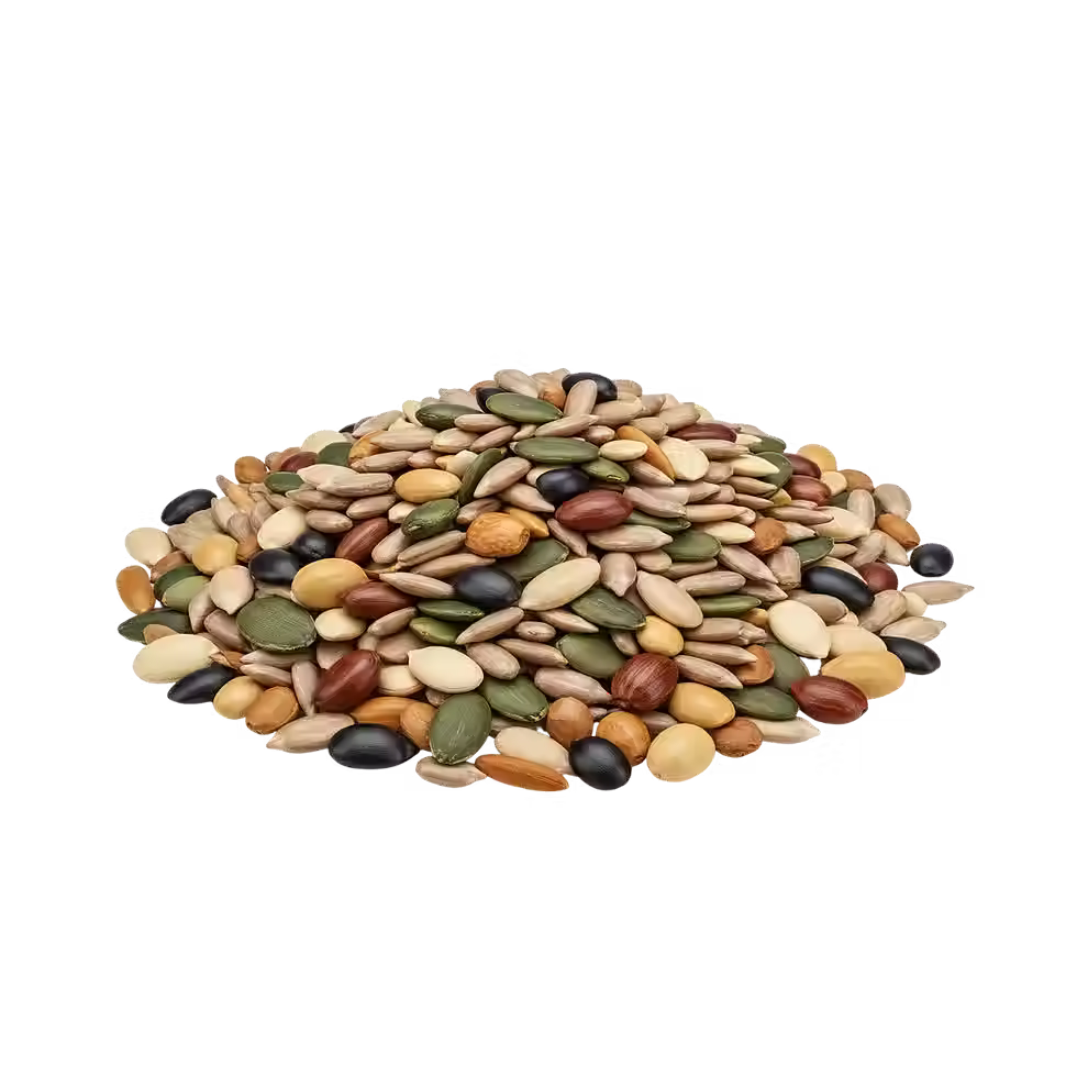 seed mix variations.avif