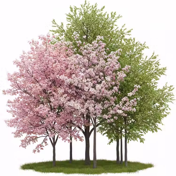 acid loving tree.avif