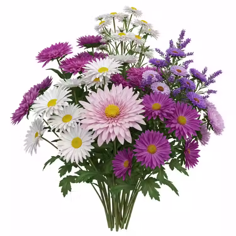 perennial flowers.avif