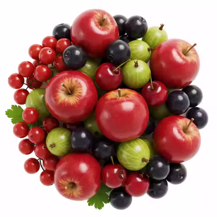 cold hardy fruits.avif