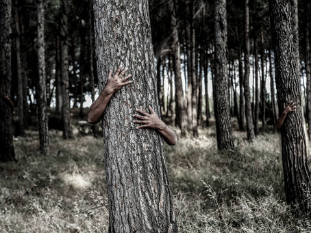 盈月をとる、第31回『擬態』を公開しました!