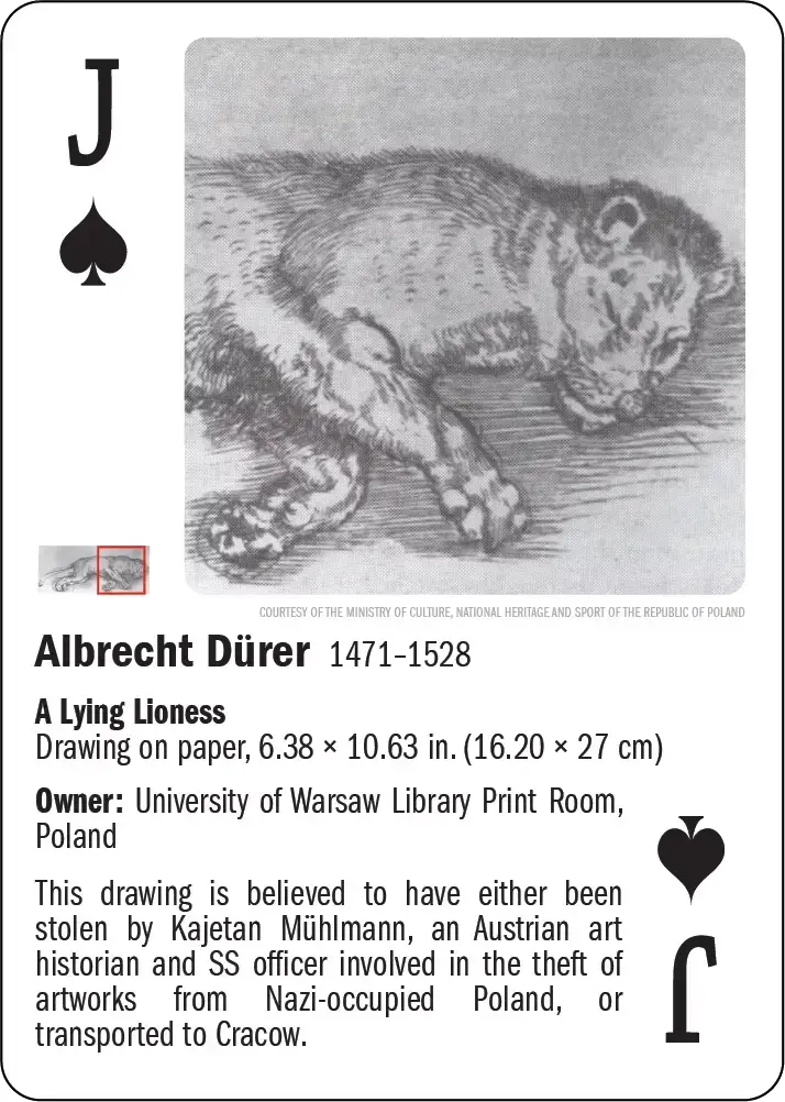 A Lying Lioness