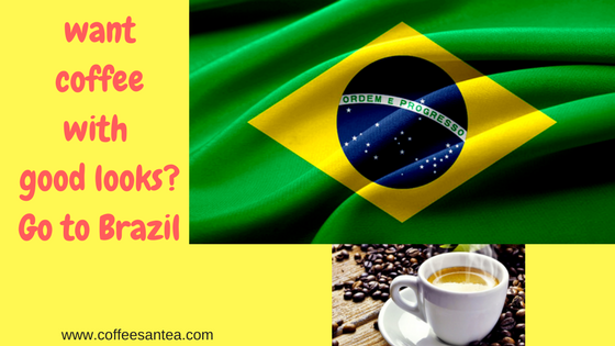 Brazilian Coffees, Cafezinho, Coffee, Sweet coffee, Coffee culture in Brazil