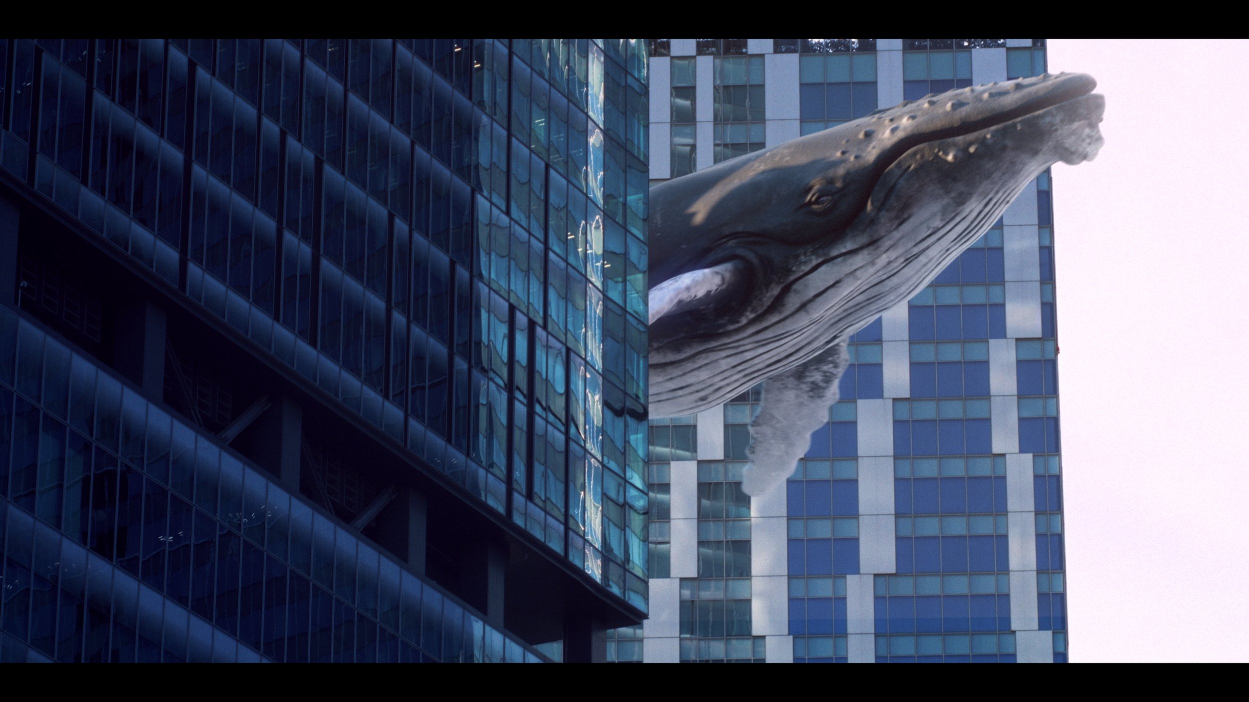 クジラが渋谷の空を泳ぐ