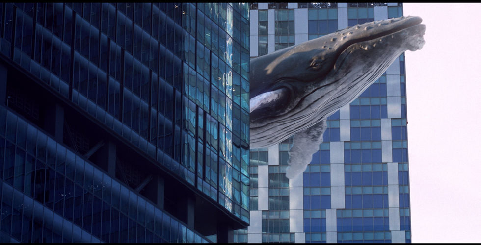 Whales Swimming in the Sky of Shibuya