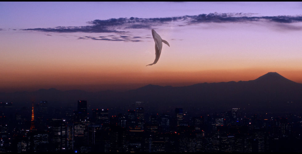 Whales Swimming in the Sky of Shibuya