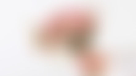 2026年5月8日　母の日に贈れる幸せ！