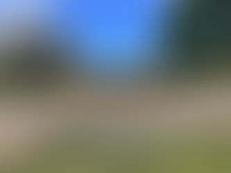 新型コロナの影響～聖火