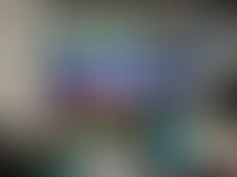 株式会社マイスター様