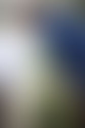 日本橋事務所の地域清掃を行いました。