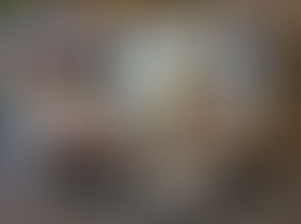 株式会社スイデン様