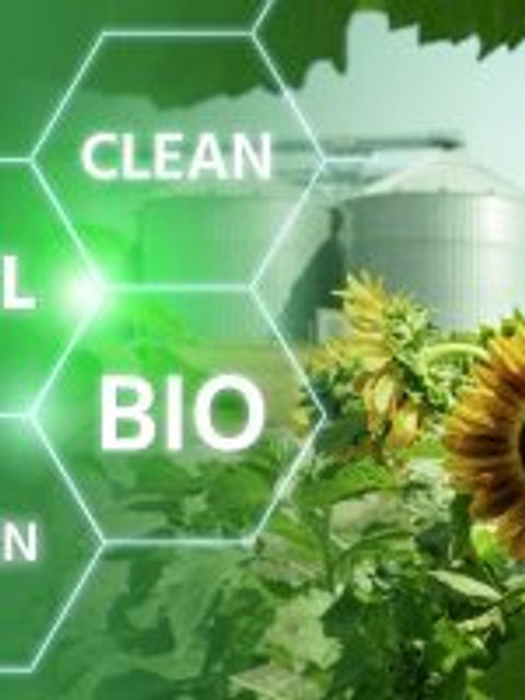 BIO