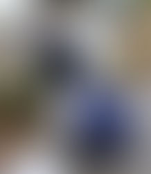 本社周辺地域の清掃を行いました。