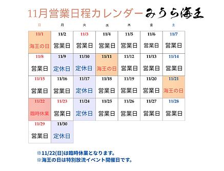 11月営業日カレンダー 修正版.png