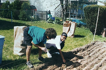 Planting the garden 2010