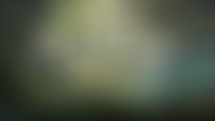 Tuesday Session 11: Dedven