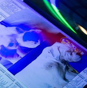 WhatsApp Image 2020-12-03 at 18.47.35.jp