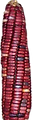 129160576_198243825139127_83902940927894