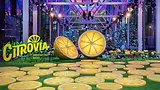 Citrovia-Hero.webp