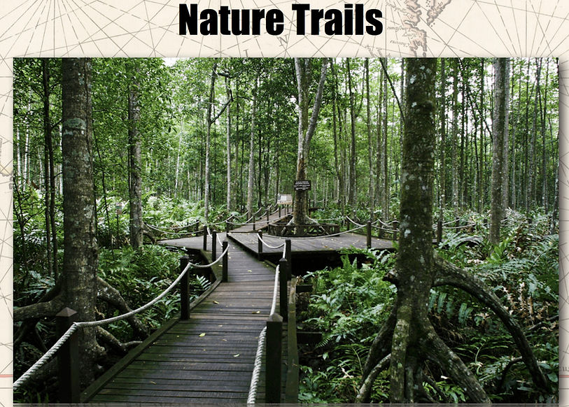Nature Trails.jpg