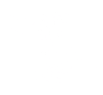 Mains magnétiques