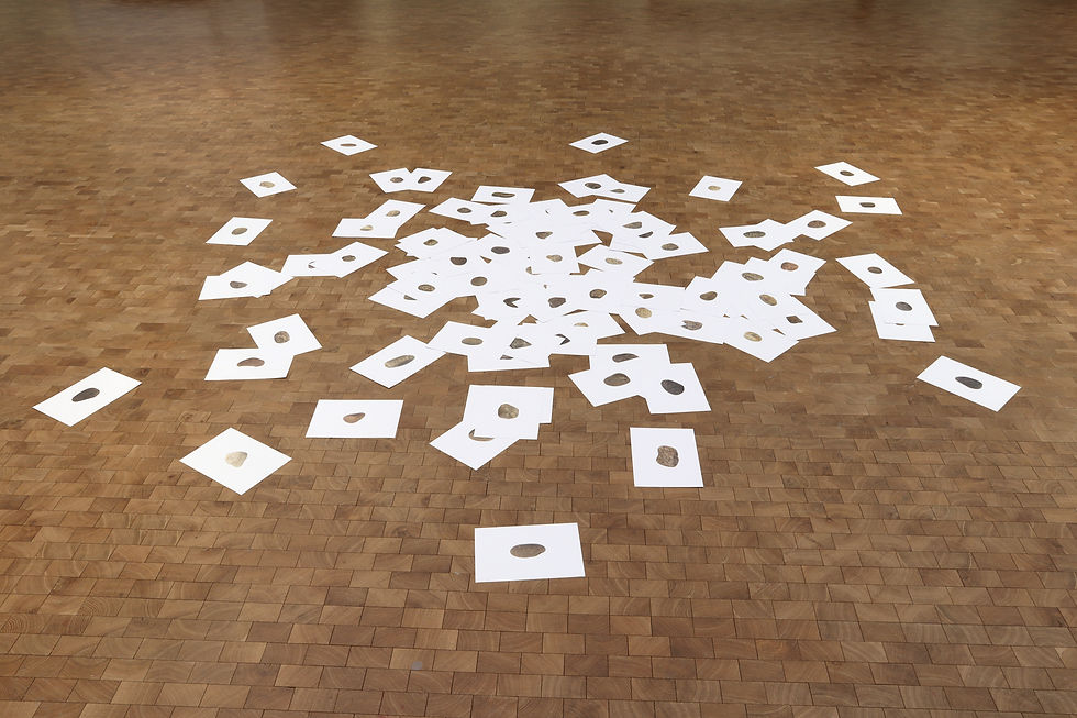 Thumbnail: #527 Leaflets