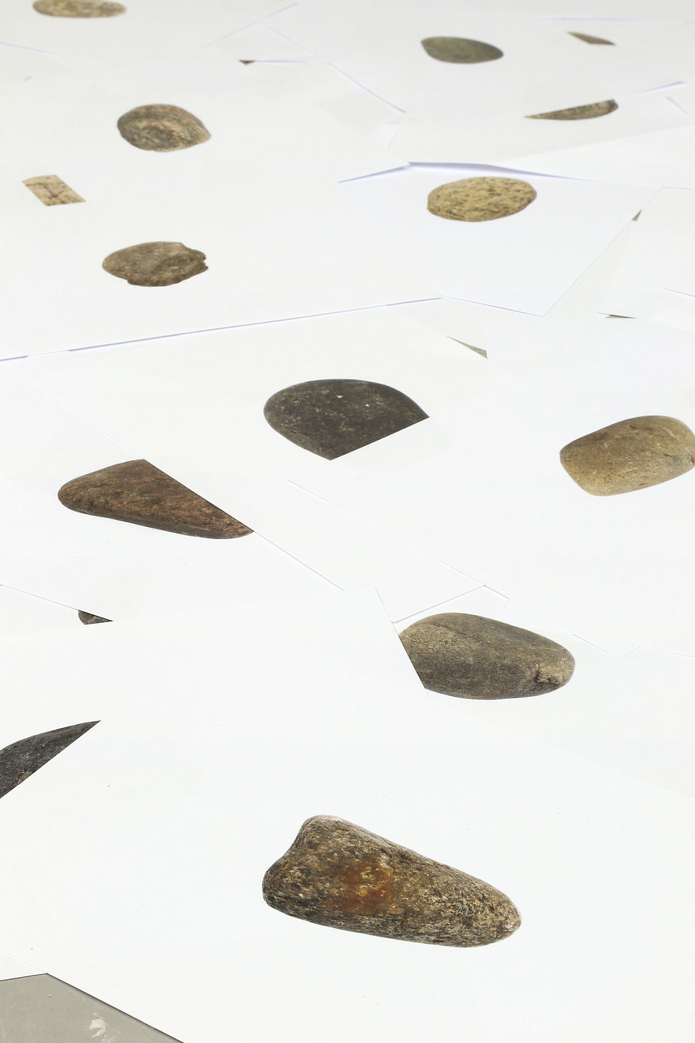 Thumbnail: #527 Leaflets