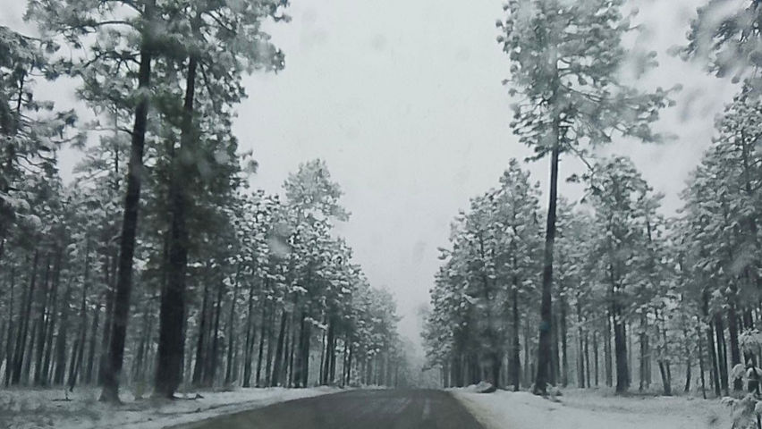 tormenta invernal cubre de nieve a balleza madera y ocampo