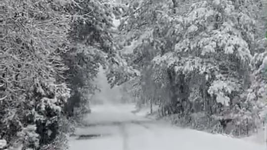 cierran tramo carretero por tormenta invernal puerto de las guias al cerro de las antenas en guadalupe y calvo