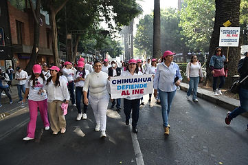 Marcha la diputada Ángeles Gutiérrez en la Ciudad de México en favor de la defensa del INE, señala que el oficialismo se quiere apoderar del organismo electoral.
Está mañana las fuerzas políticas salieron a las calles de la Ciudad de México a defender al INE, de la mano de organizaciones civiles, líderes y ciudadanos libres, se mostró el rechazo a la propuesta de Morena, una de las reformas clave del sexenio.
Con miles de asistentes y entre gritos: “El INE no se toca”, “Yo Defiendo al INE”, los manifestantes solicitamos una vez más que la Reforma Electoral que estamos discutiendo en la Cámara de Diputados no modifique la conformación del Instituto Nacional Electoral.