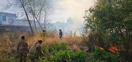 Sofocan Bomberos y Protección Civil 20 incendios de pasto en una semana
