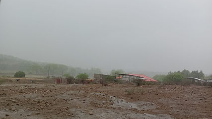 ¡Alerta! Se esperan lluvias, viento y clima cálido para este fin de semana