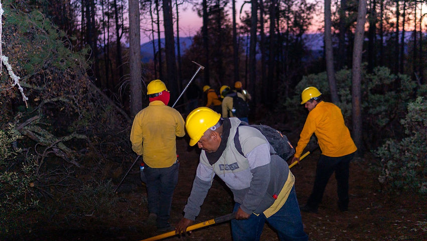 Despliegan brigadas para abatir incendio forestal en San Juanito