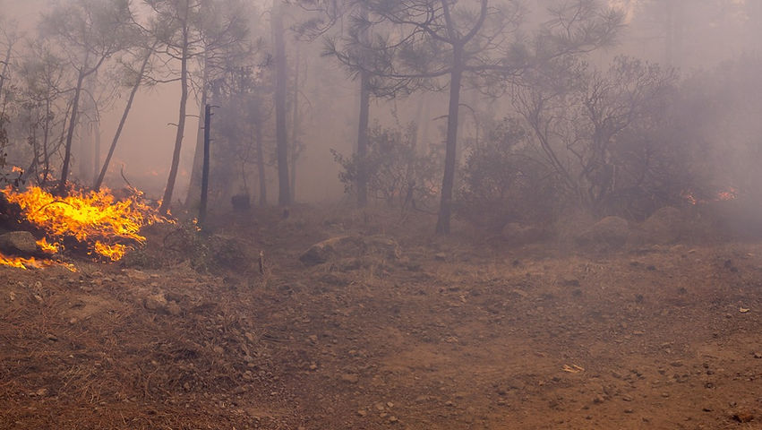 Exhorta SDR a productores a no realizar quemas agrícolas sin previo aviso