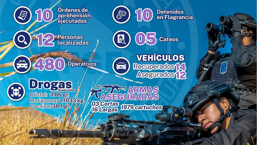 la aei zona sur cierra el 2025 asegurando 14 vehiculos 16 armas y 3 mil kilogramos de droga