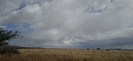 ¡No guarde el paraguas! Pronóstico de lluvias y vientos para este inicio de semana