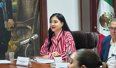 Síndica plantea regular las cajas chicas; detectan observaciones por más de 20 mil pesos