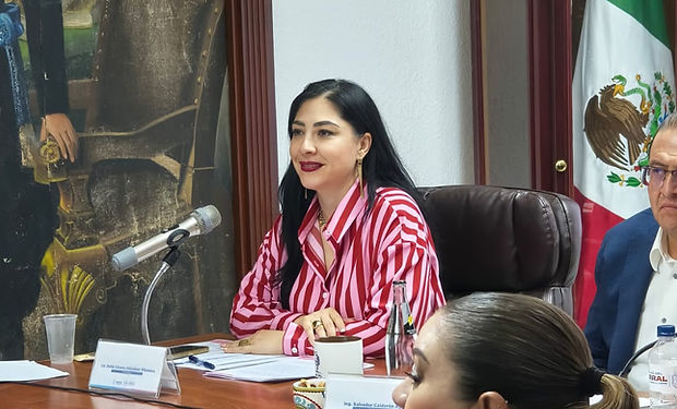 Síndica plantea regular las cajas chicas; detectan observaciones por más de 20 mil pesos
