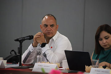 Noel Chávez gestiona ante la SEMARNAT apoyo para el combate de plaga en los bosques de Pino.