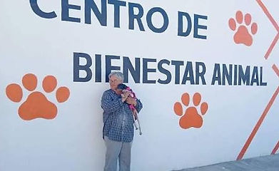 Campaña de desprestigio frena apoyos al Centro de Bienestar Animal “Proteo”