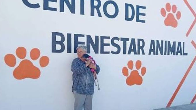 campana de desprestigio frena apoyos al centro de bienestar animal proteo