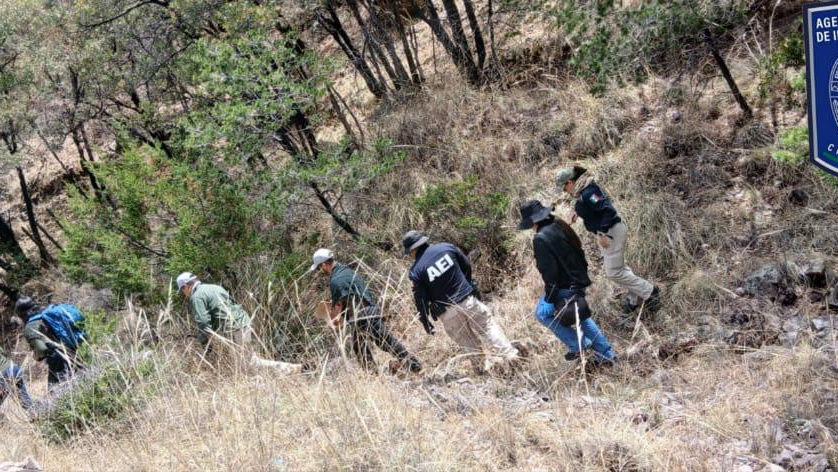 encuentran restos oseos en la parral guadalupe y calvo